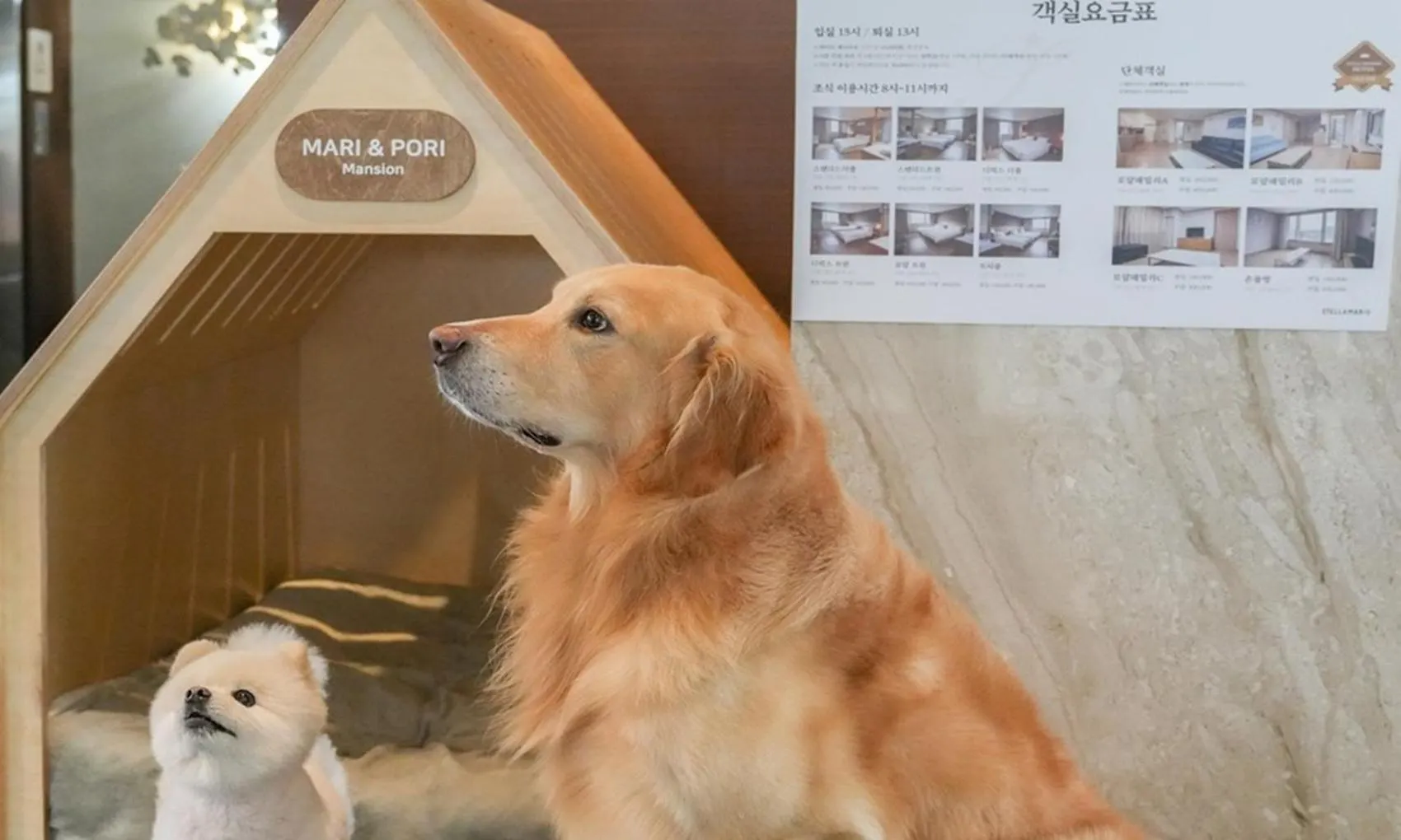 Incheon Wolmido Stellamaris Hotel 3*,  韓国