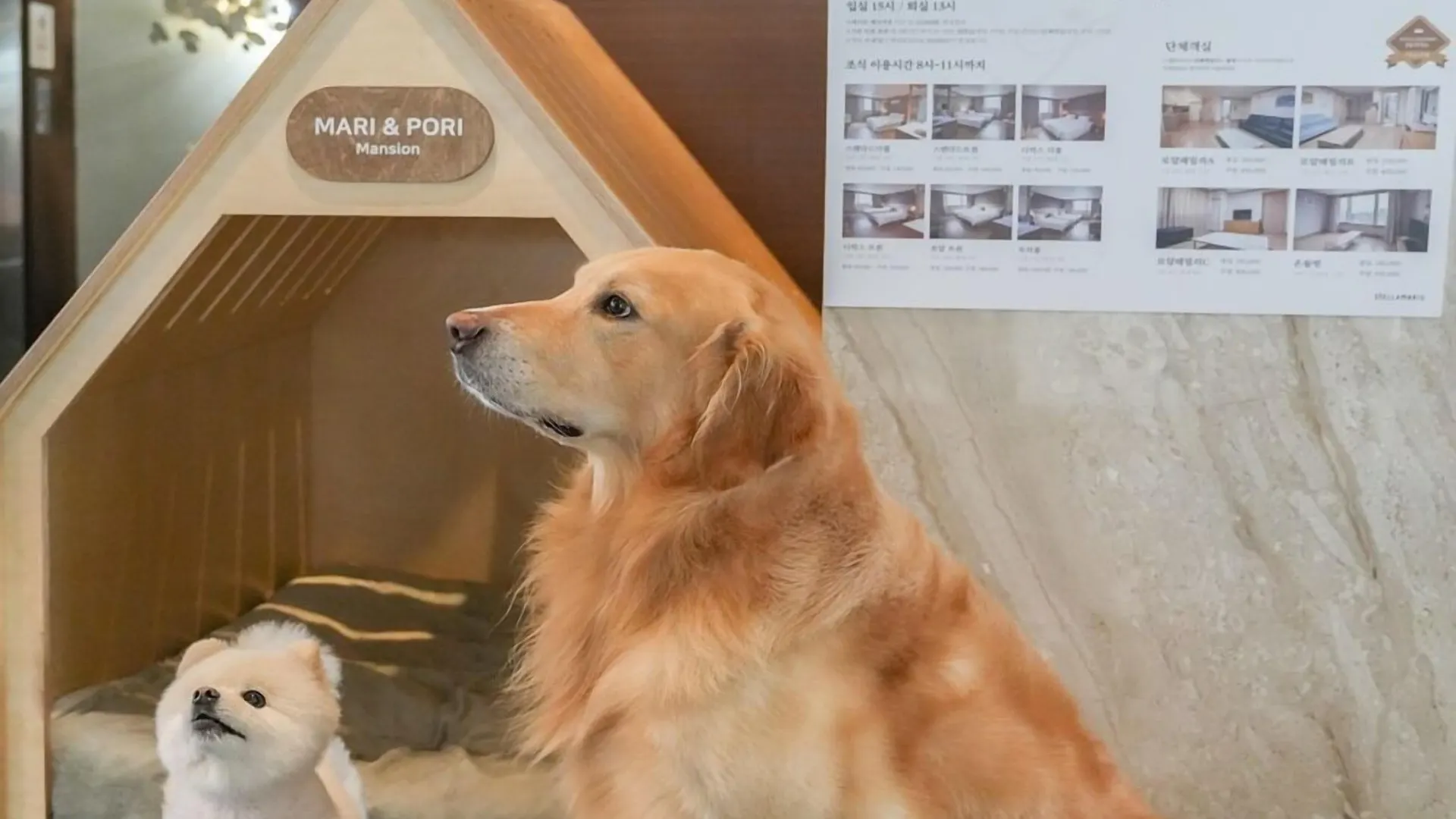 인천 월미도 스텔라마리스 호텔 3*,